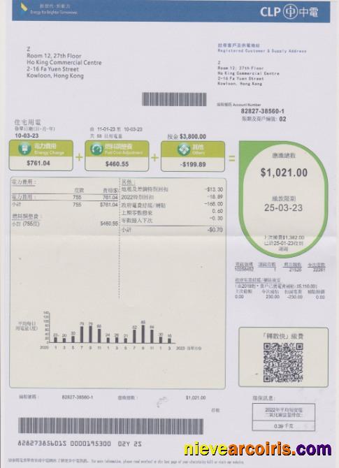 Hong Kong CLP power utility bill